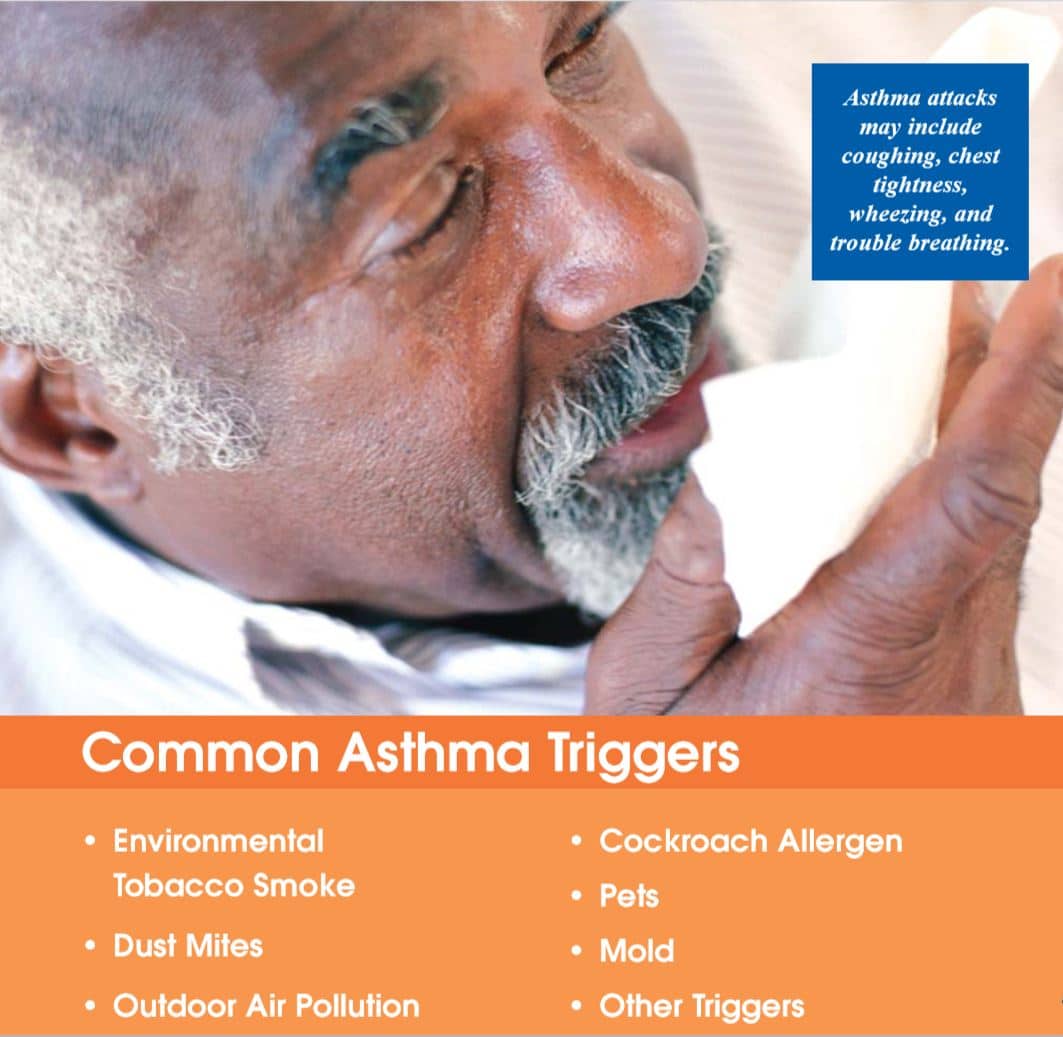 A Guideline to Understanding Asthma and Its Triggers