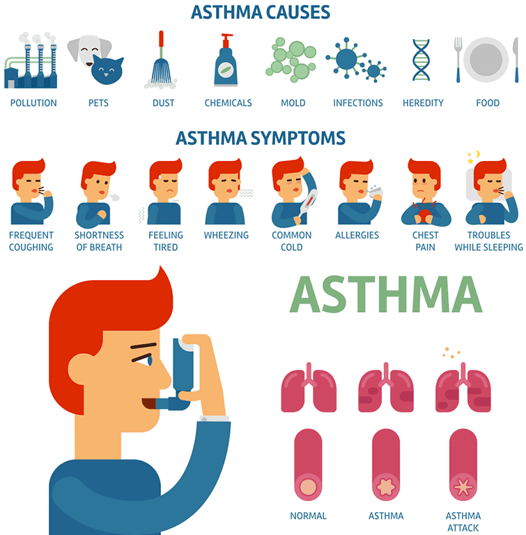 Asthma 7 Facts: With Causes, Symptoms, Diagnosis And Treatment