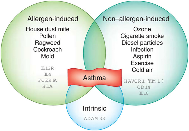 asthma causes and treatment  Steemit