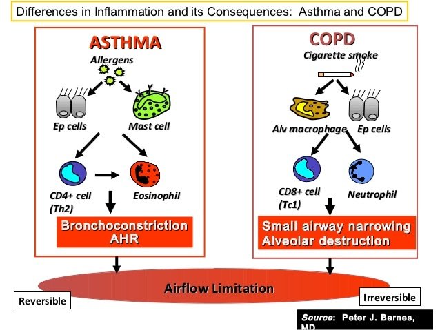 Asthma COPD