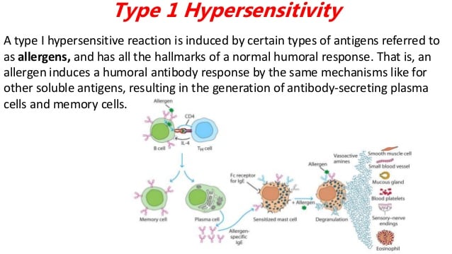 Asthma Hypersensitivity Reaction Type