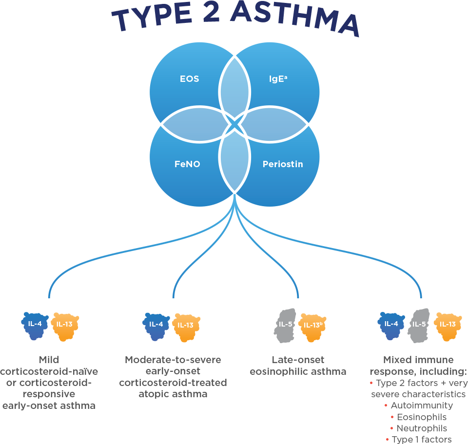 Asthma phenotypes associated with type 2 inflammatory ...