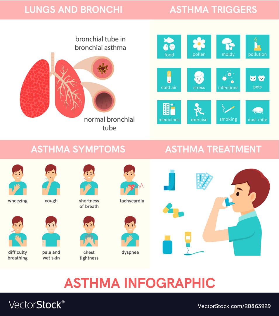 Asthma Seasonal Triggers