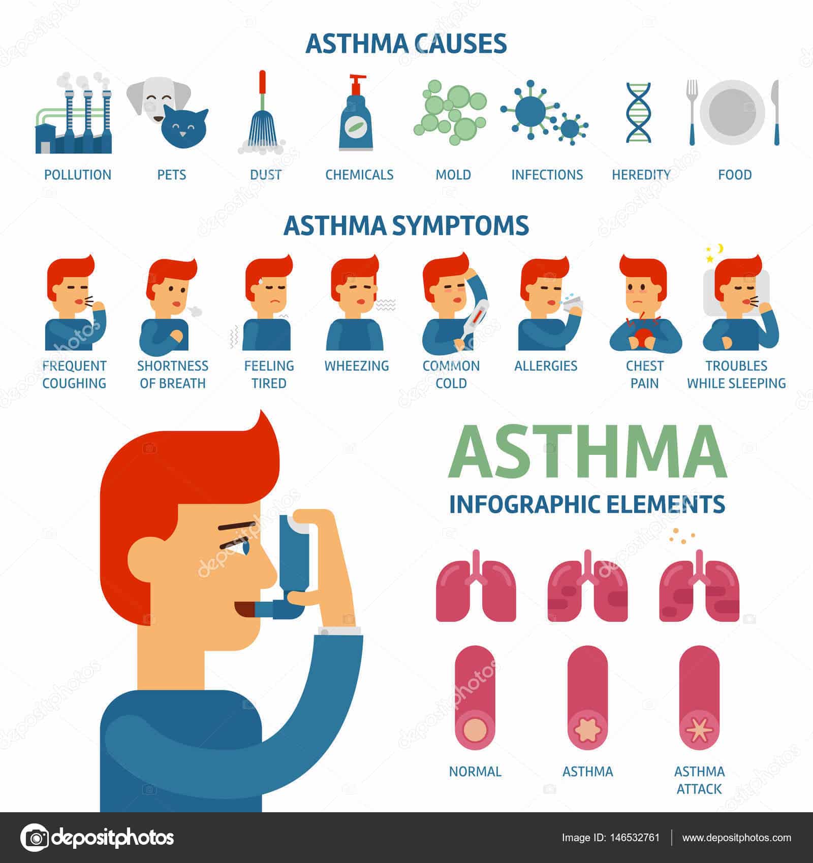 Asthma symptoms and causes infographic elements. Asthma triggers vector ...