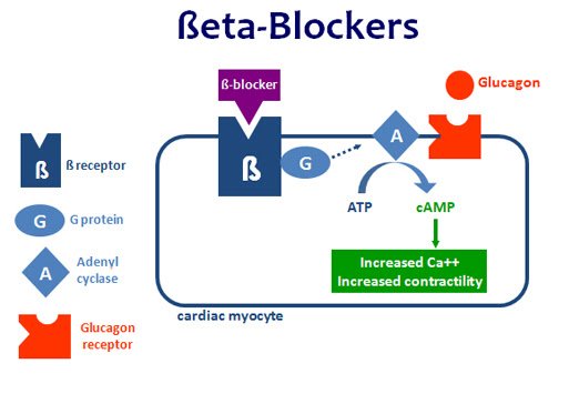 Beta Blocker Asthma Copd