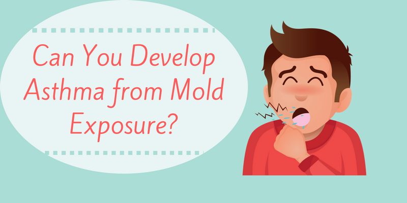 Can You Develop Asthma from Mold Exposure?