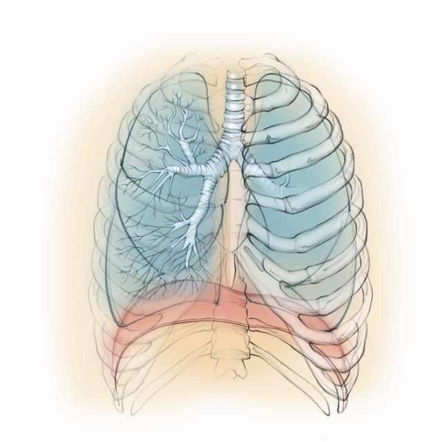 COPD Exacerbations, Bronchitis and Pneumonia: What