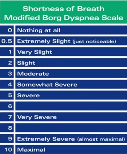 Copd Exertion Scale