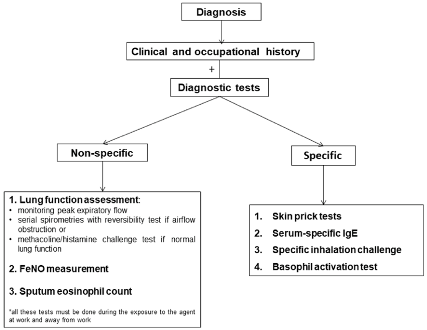 What Are Diagnostic Tests For Asthma