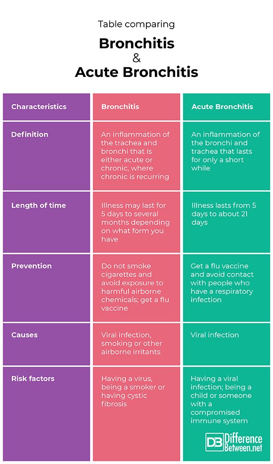 Difference Between Bronchitis and Acute Bronchitis ...