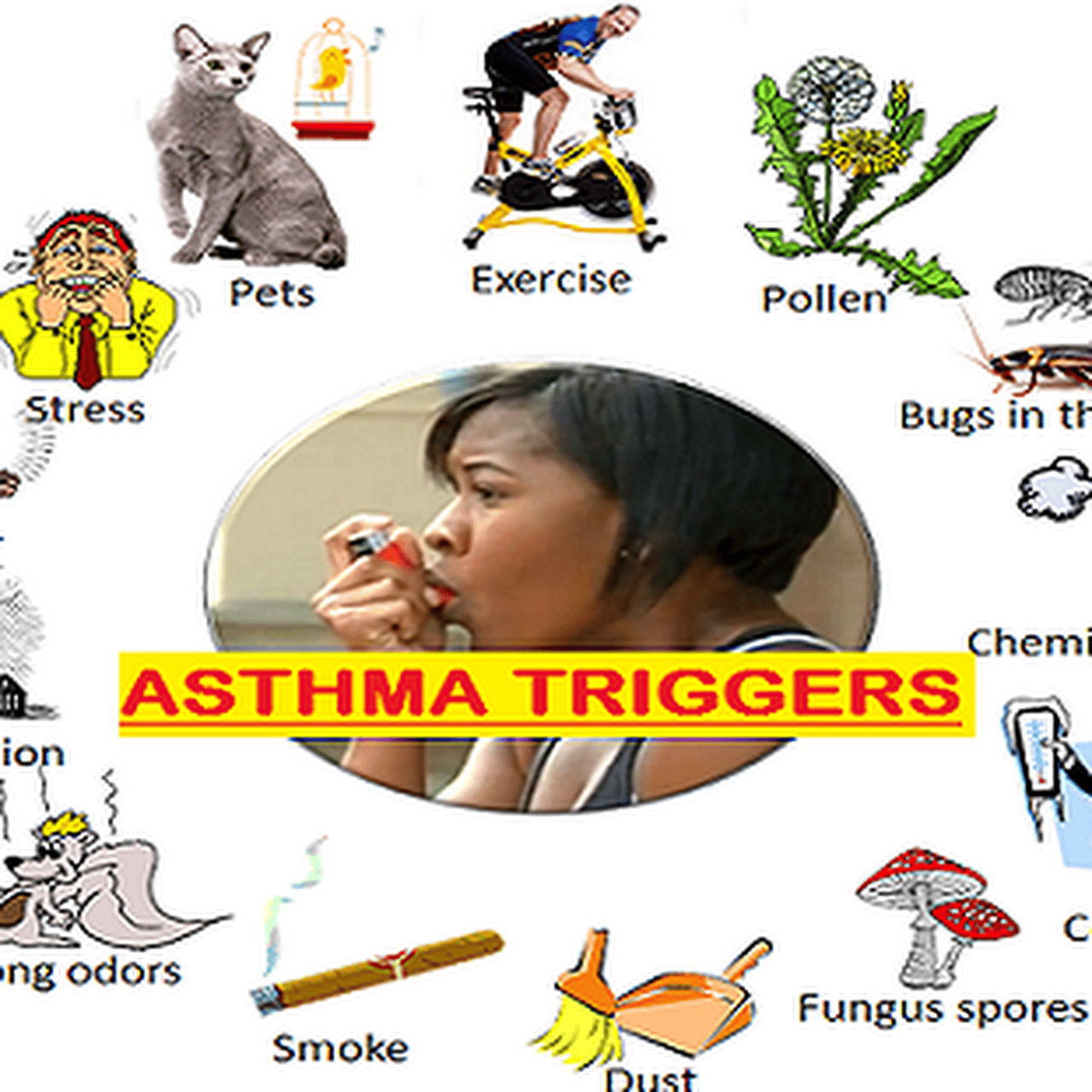 Dr Aditya Agrawal (Chest Specialist, Asthma, Allergy &  Sleep Specialist ...