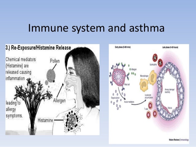 Env and asthma