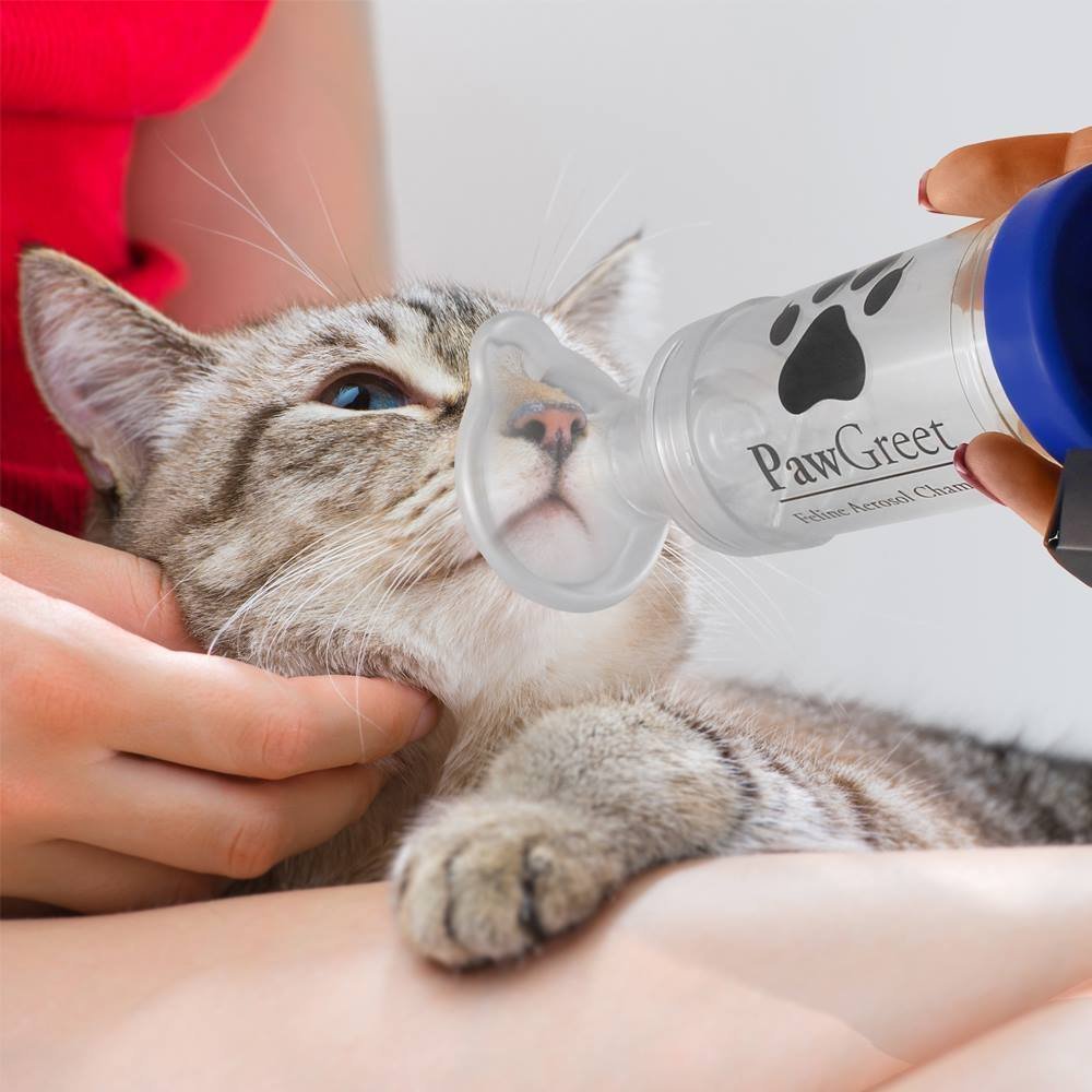 Feline Aerosol Chamber Inhaler By Pawgreet
