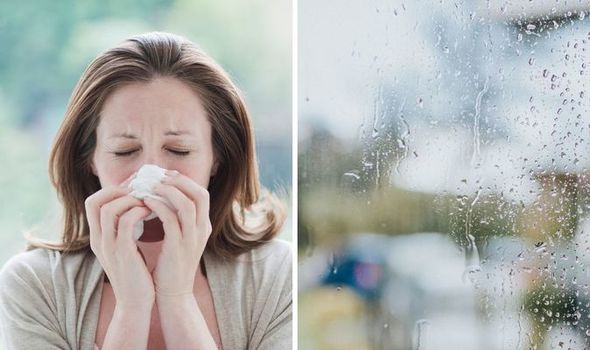 Hay fever: Does rain make your symptoms worse? Expert ...