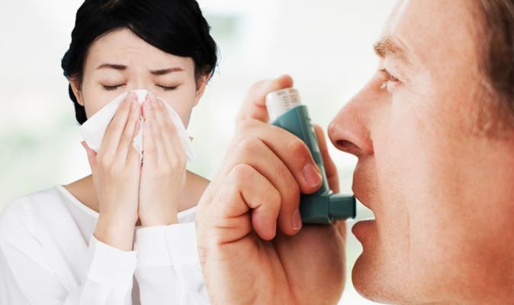 Hay fever symptoms: Can hay fever make you feel breathless ...