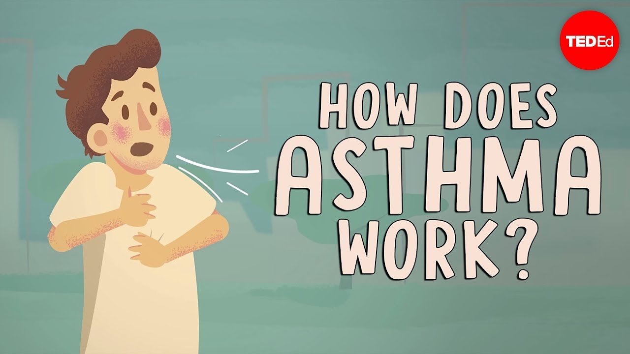 How does asthma work?