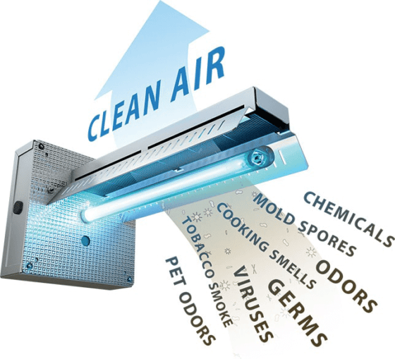 How to help with asthma symptoms breathe clean air indoors