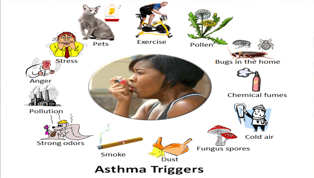 How to Reduce Asthma Attacks