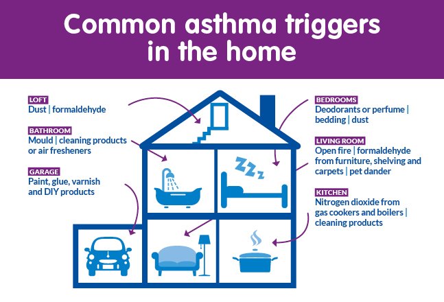 Indoor asthma triggers at home