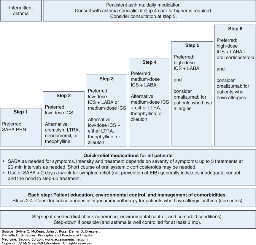 Moderate Persistent Asthma With Acute Exacerbation