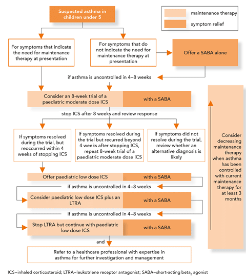 NICE asthma guideline: chronic asthma management