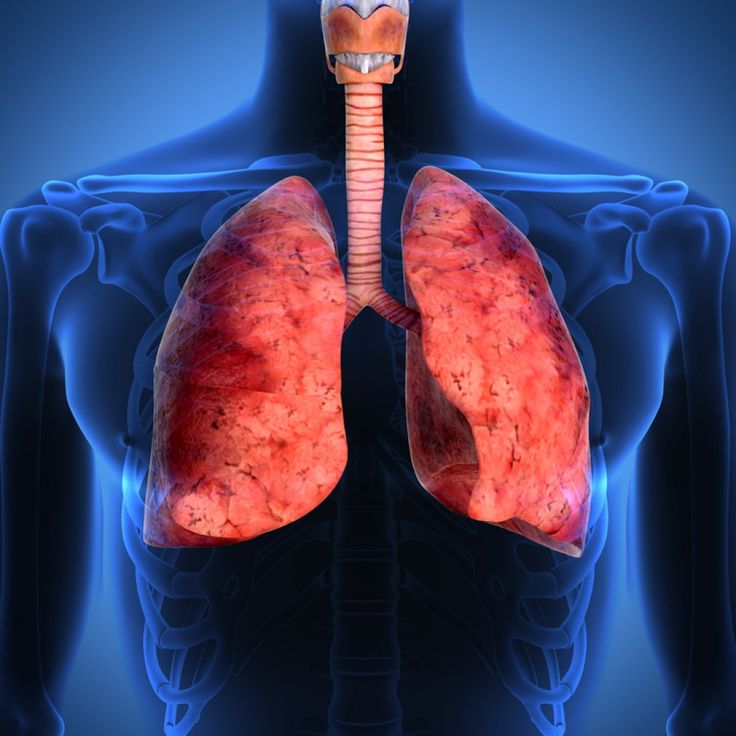 Pin on Lung Cancer