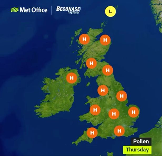 pollen bomb hits the uk bringing misery for hay fever and asthma