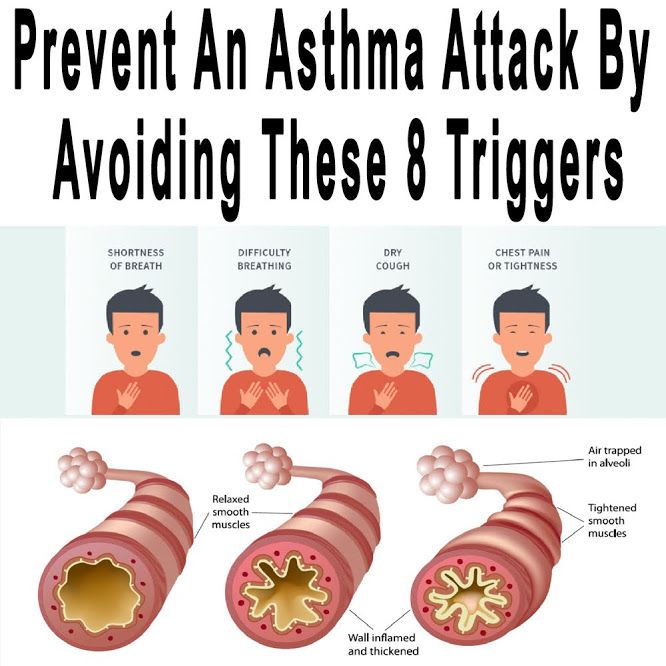 Prevent An Asthma Attack By Avoiding These 8 Triggers