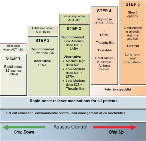 Stepwise approach for managing asthma in adults