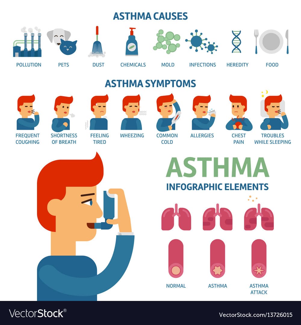What causes asthma symptoms to occur  Education