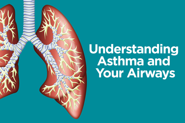 What Happens in Your Airways When You Have Asthma ...