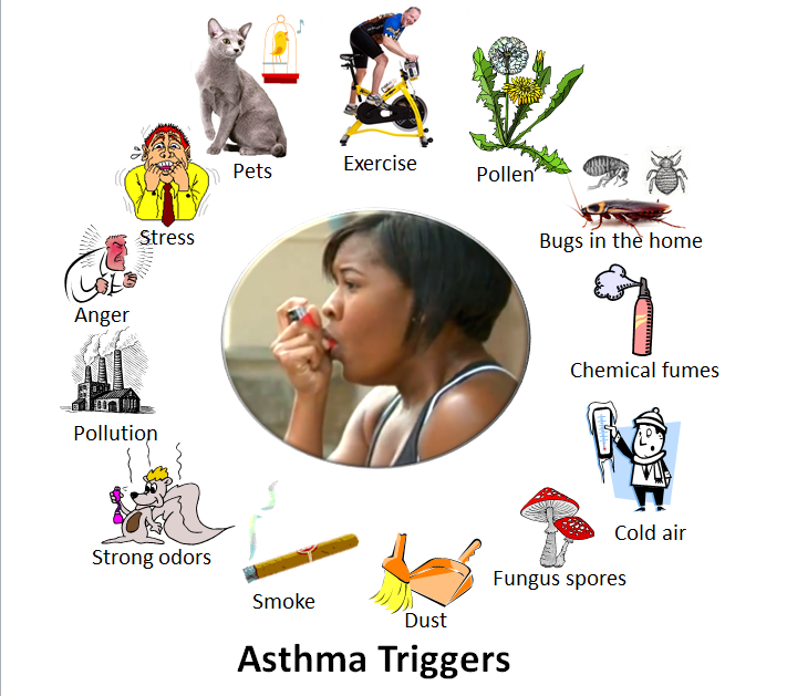 What is Asthma, Symptoms,Causes &  Treatment ~ Education