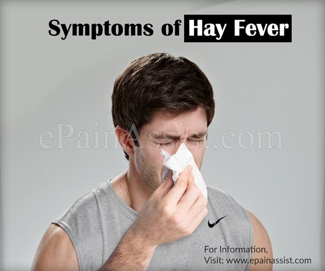 can-hayfever-cause-asthma-symptoms-knowyourasthma