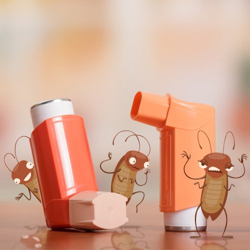 Why Do Cockroaches Trigger Asthma Symptoms and Asthma ...