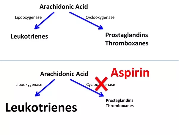 Why it is not advisable to administer aspirin to asthmatic ...