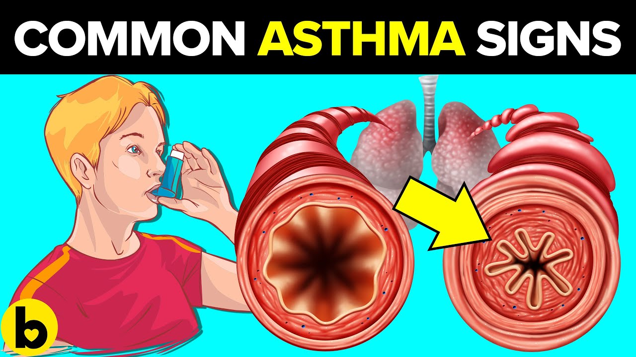 Why People Get Asthma And What You Need To Know